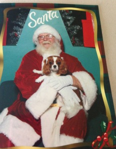 When in Houston take your dog to sit on Santa's lap